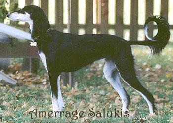 Addie 4 years of age