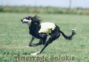 Photo by Shot On Site