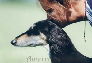 Photo by Shot On Site