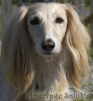 Photo of Gurlfren's Head, taken during a SIU visit