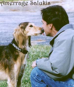 Photo of Mikie showing respect