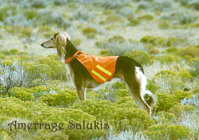 Mikie in NM, September 05