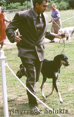 Zephyr 16 months, light movement