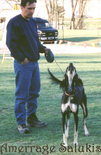 Zephyr saying hello photo